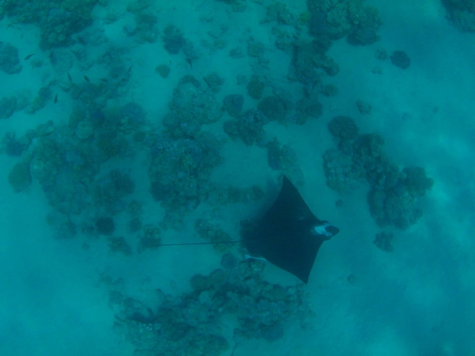 Manta Makadi Spa - Adults only