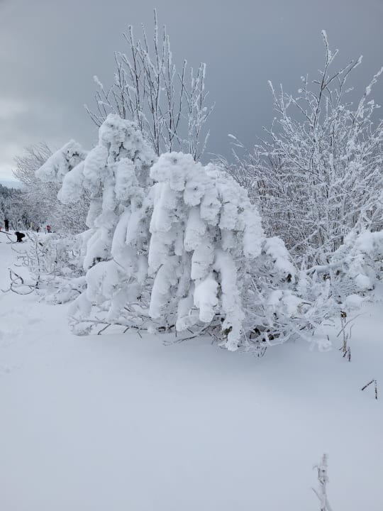 Ausblick AHORN Hotel Am Fichtelberg