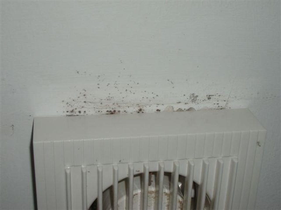 Schimmel Botanik Hotel & Resort