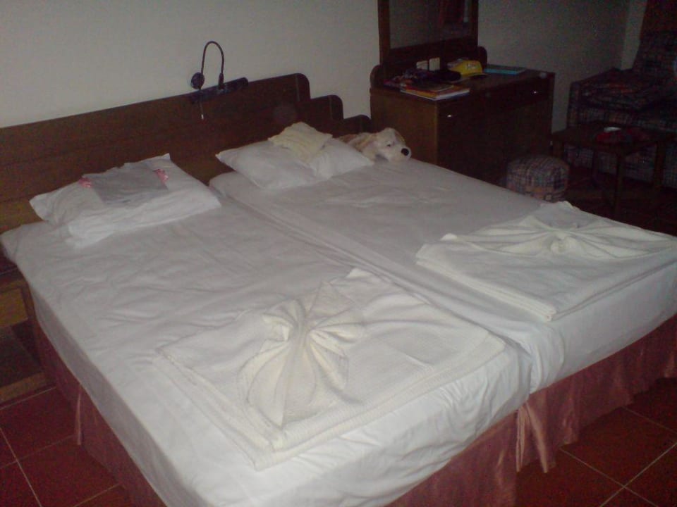 Zimmer im Hotel Hotel Gardenia Beach