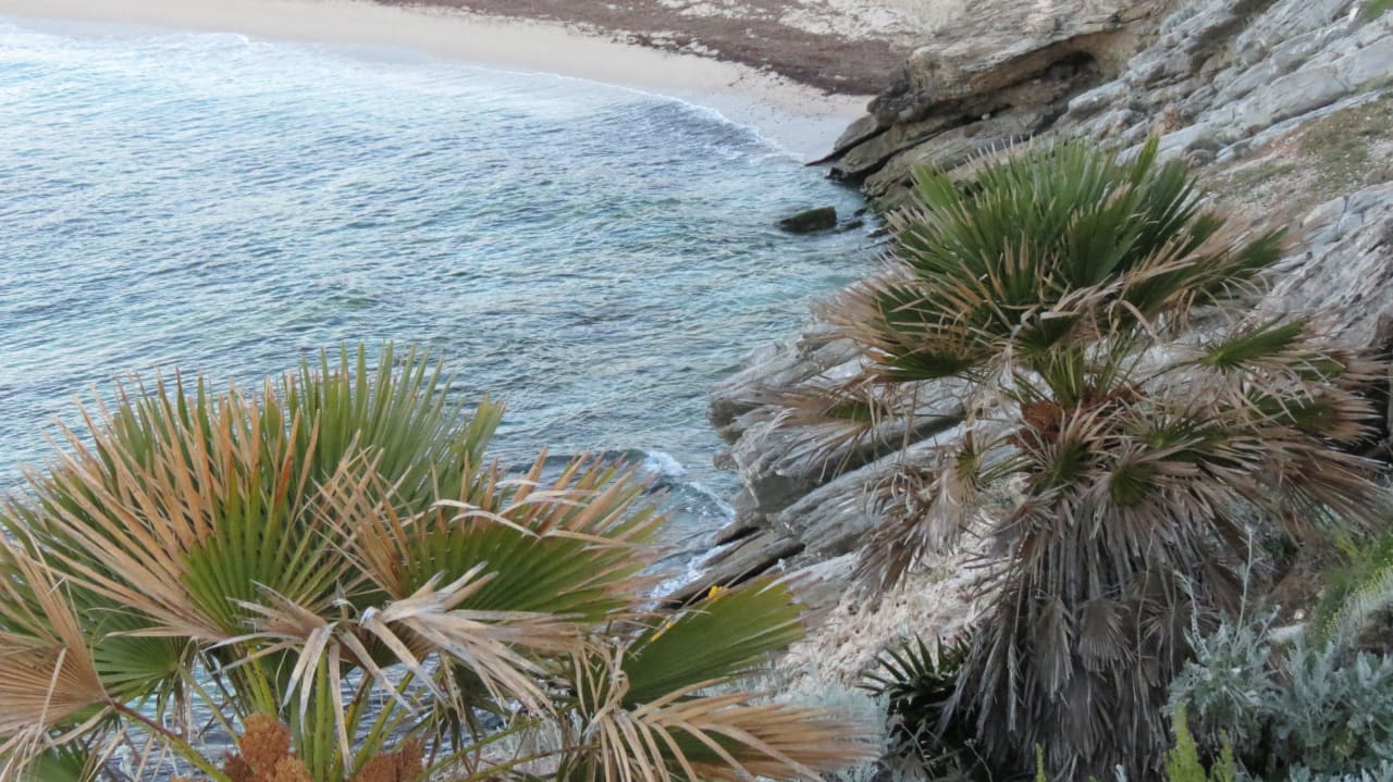 ...auf die Klippen VIVA Cala Mesquida Resort & Spa