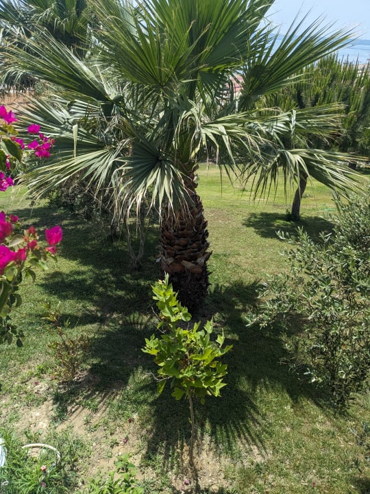 Strand Can Garden Resort