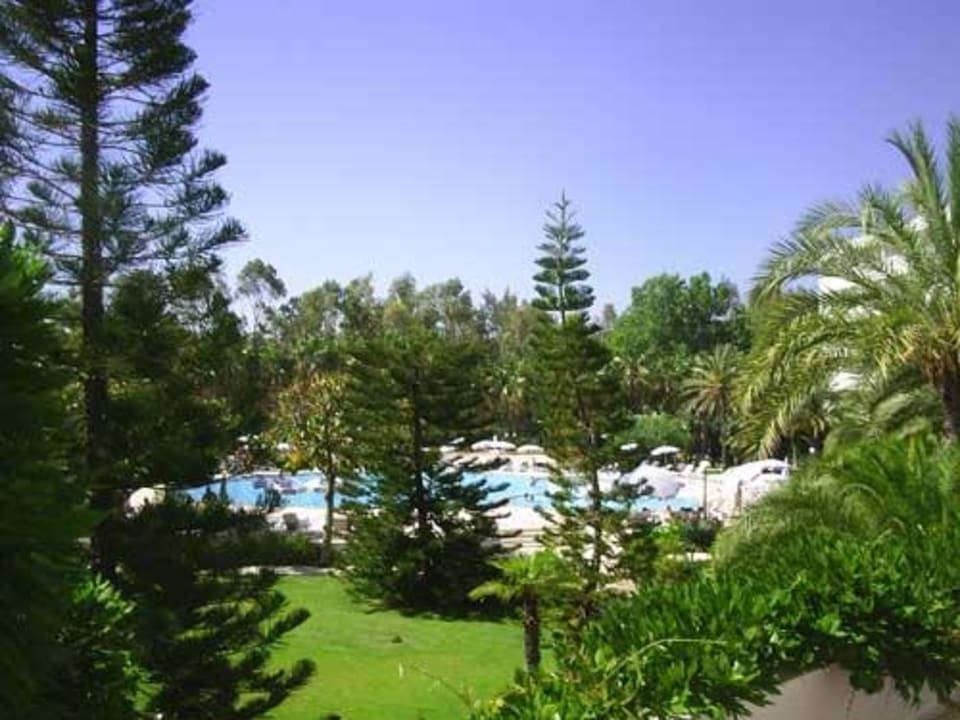 Pool und Garten Top Hotel