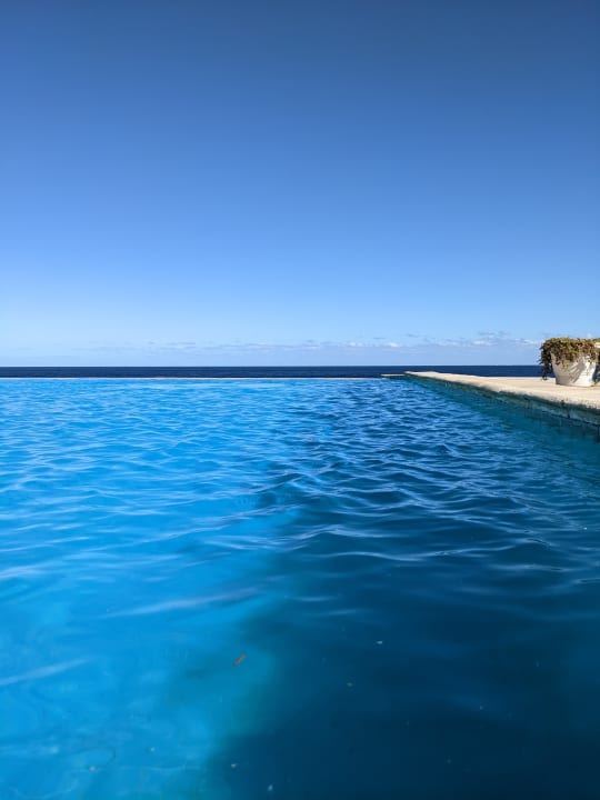 Pool The Oasis Dive Resort