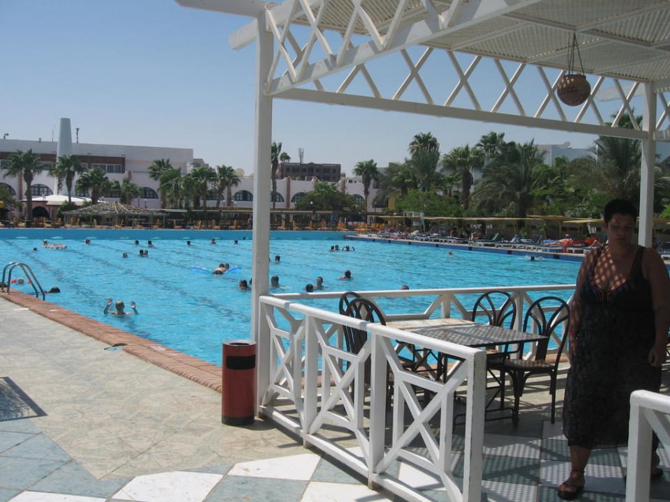 Poolanlage Arabia Azur Resort