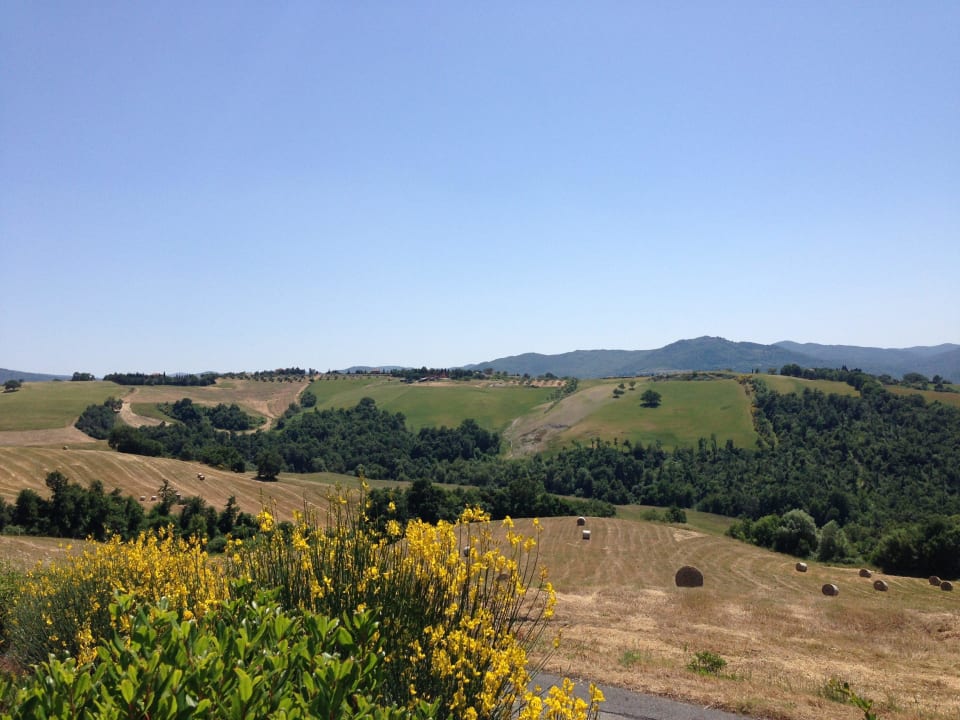 Panoramablick von der Anlage Agriturismo Relais Poggio al Vento
