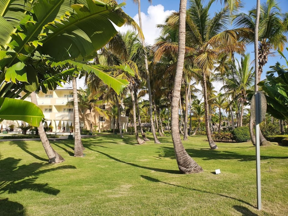 Gartenanlage TRS Turquesa Hotel - Adults only