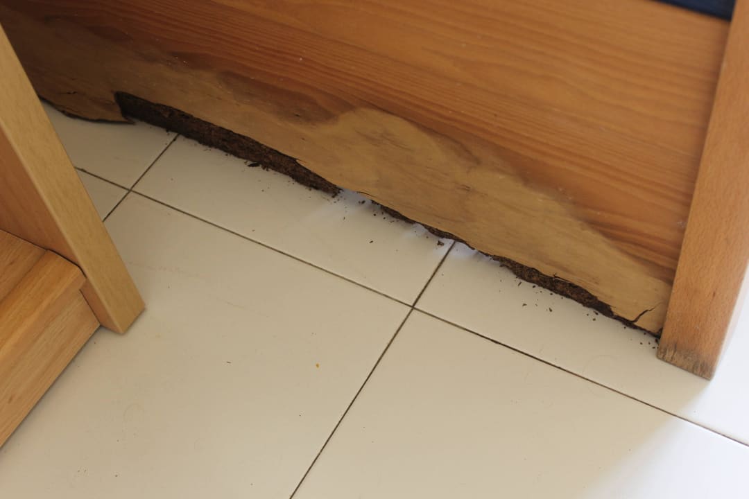 Wasserschaden am Mobiliar THB Naeco Ibiza