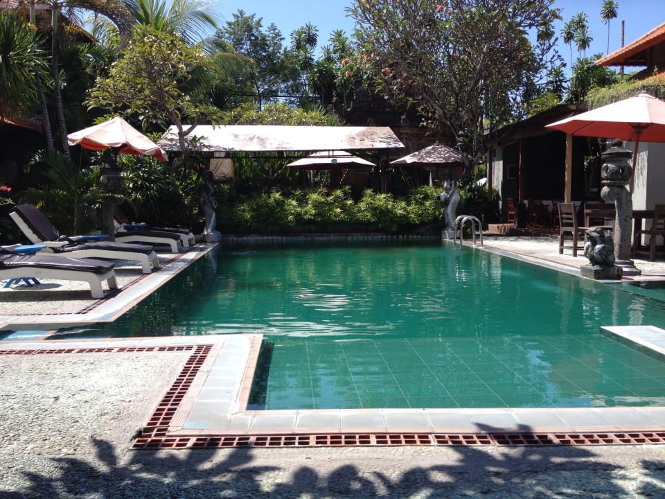 Pool Hotel Stana Puri Gopa