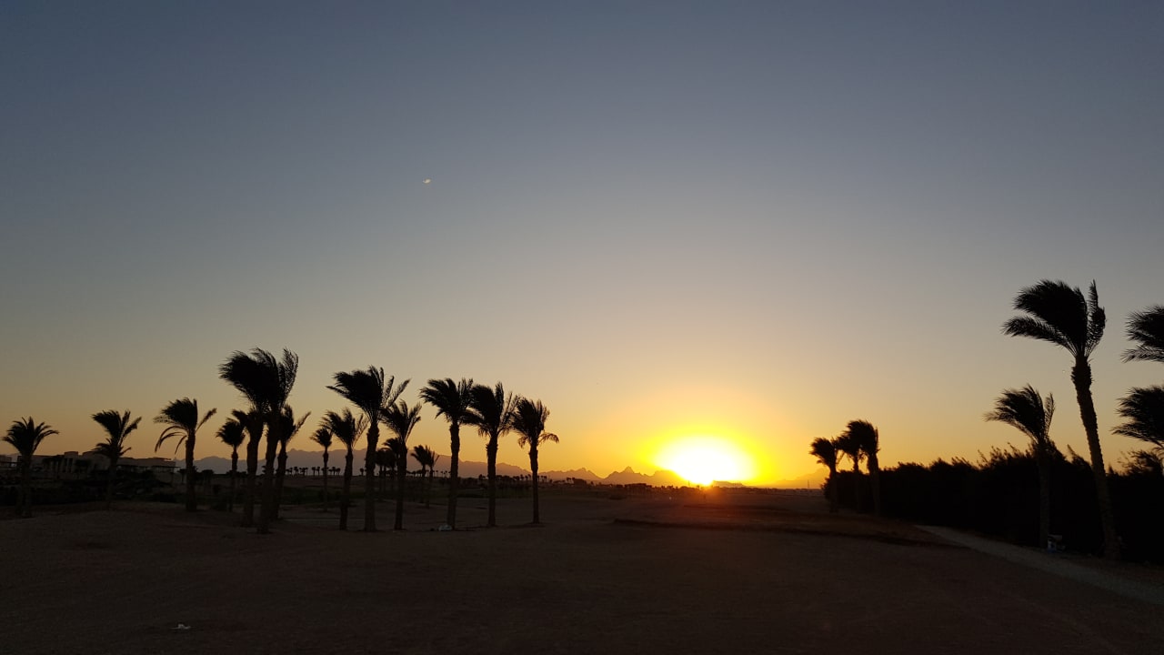 Ausblick Jaz Makadi Oasis Resort