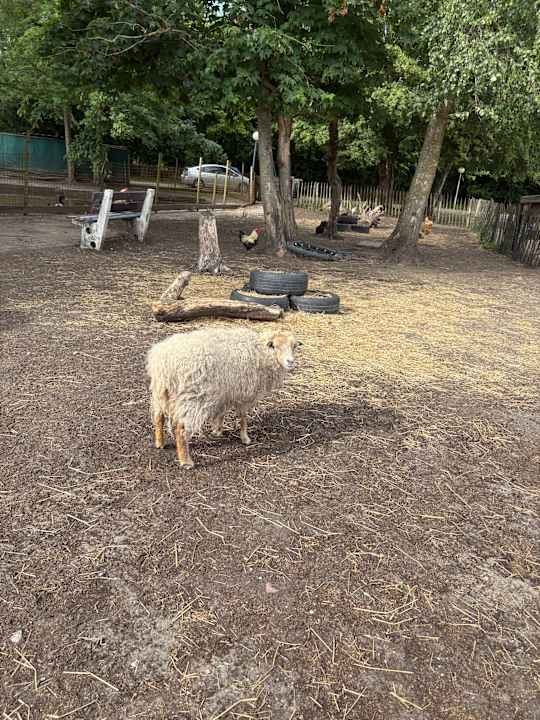 Sport & Freizeit Oostappen Vakantiepark Marina Beach