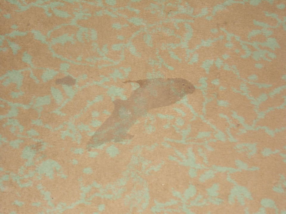 Lecker Fußboden im Zimmer Hotel Tej Marhaba