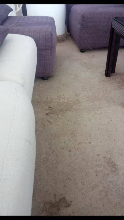 So sieht der Teppich in der Lobby aus Hotel Neptunia Skanes