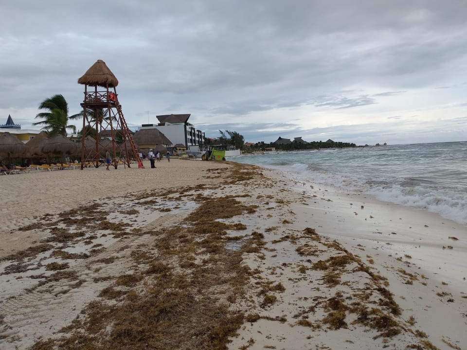 Strand Iberostar Selection Paraiso Maya Suites