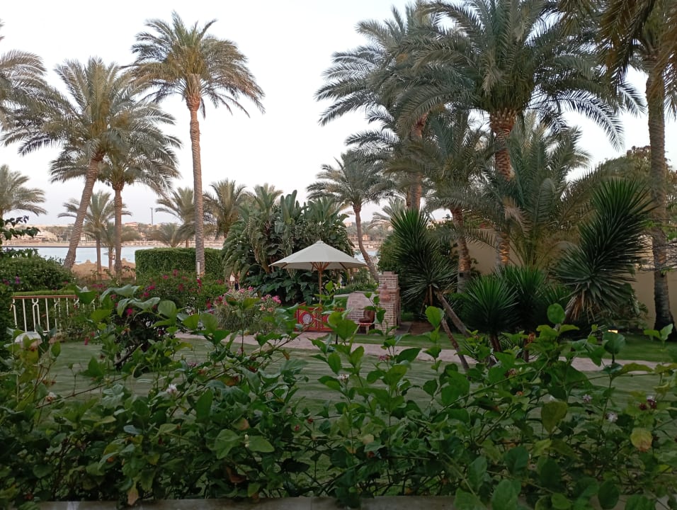 Gartenanlage Steigenberger Coraya Beach - Adults only