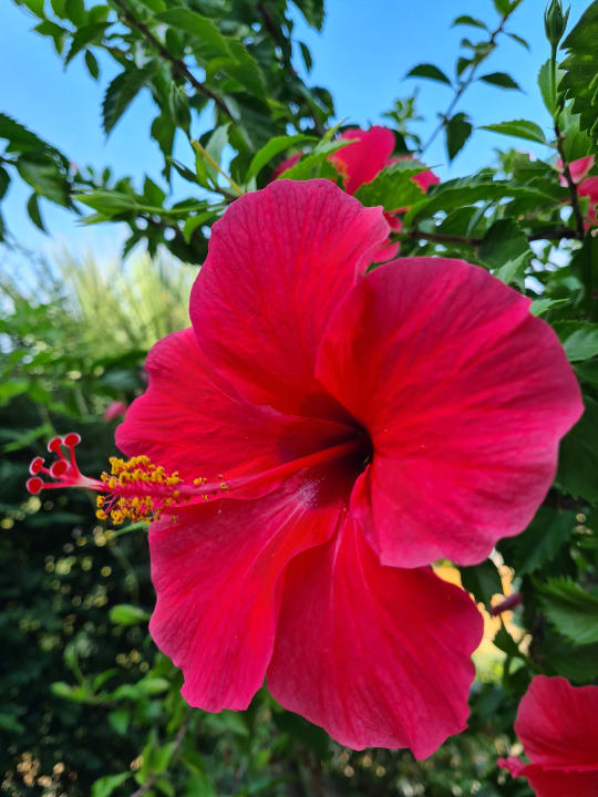 Ausblick Aldiana Club Rocca Nettuno Calabria