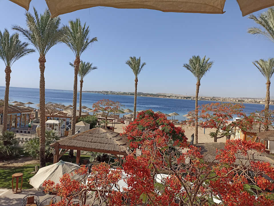Ausblick Grand Waterworld Makadi & Family Star Makadi