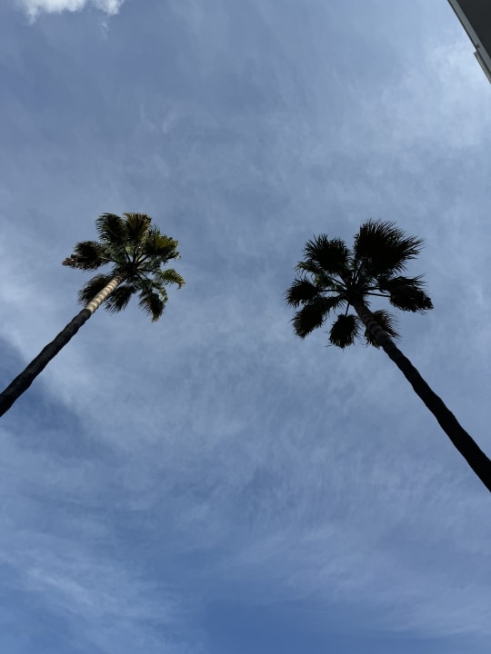 Ausblick Hotel Metropolitan Playa