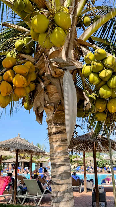 Außenansicht Meliá Laguna Beach