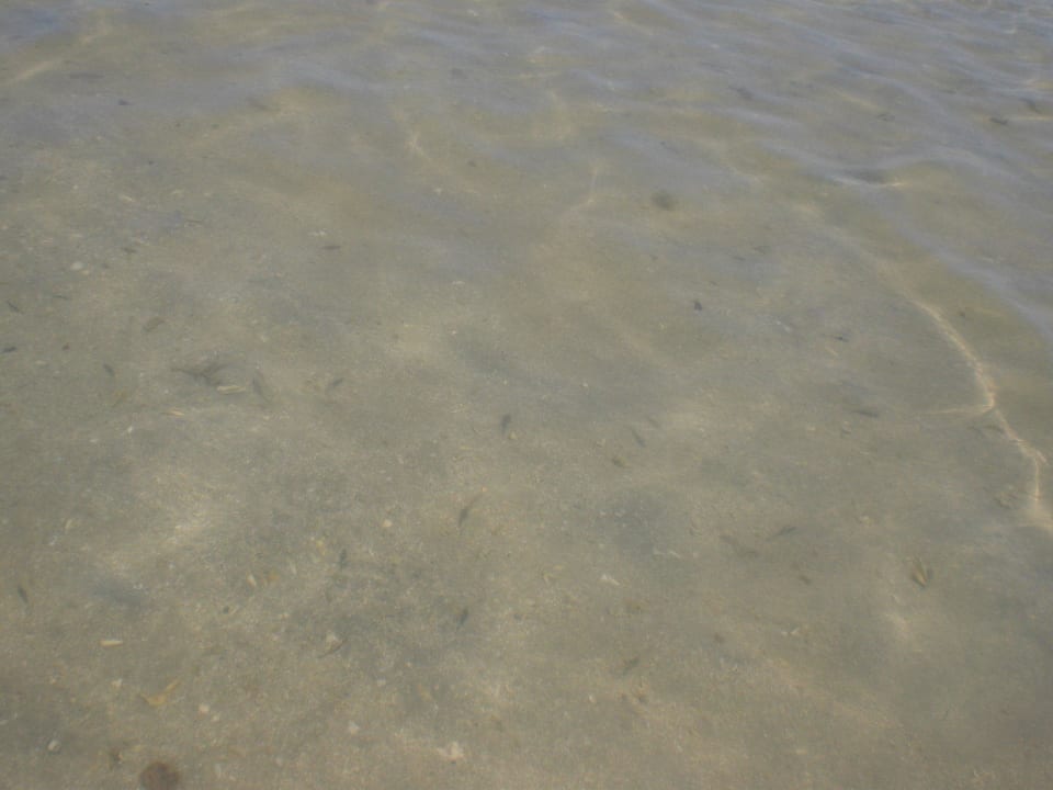 Das Meer bei Ebbe Le Jardin Aqua Park Resort