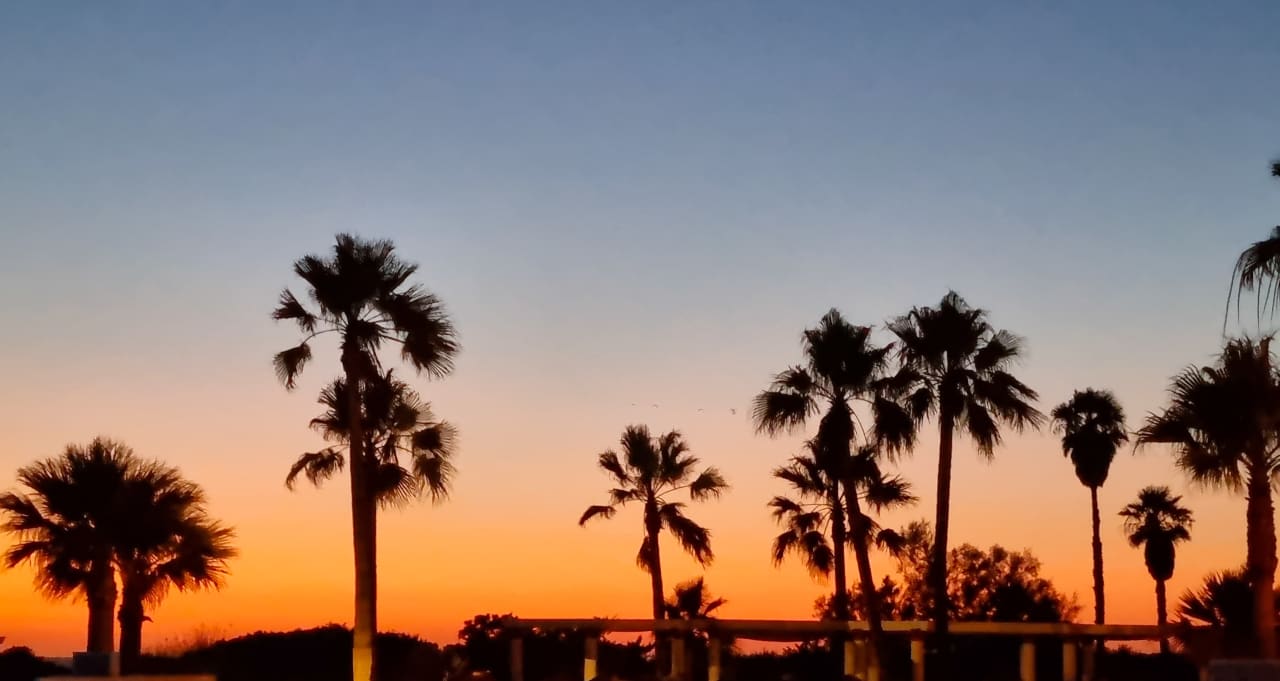 Ausblick Aldiana Club Andalusien