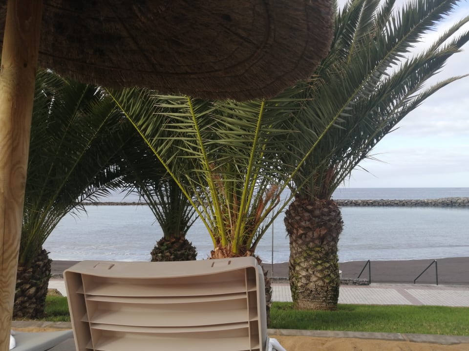 Pool Hotel Riu Palace Tenerife