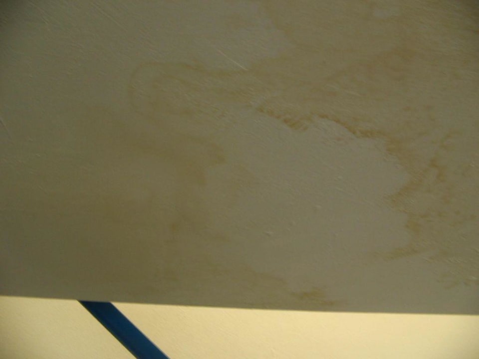 Schimmelkultur im Zimmer Hotel Bungalows Duna Flor