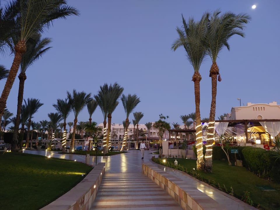 Gartenanlage Hotel JAZ Makadi Star & Spa