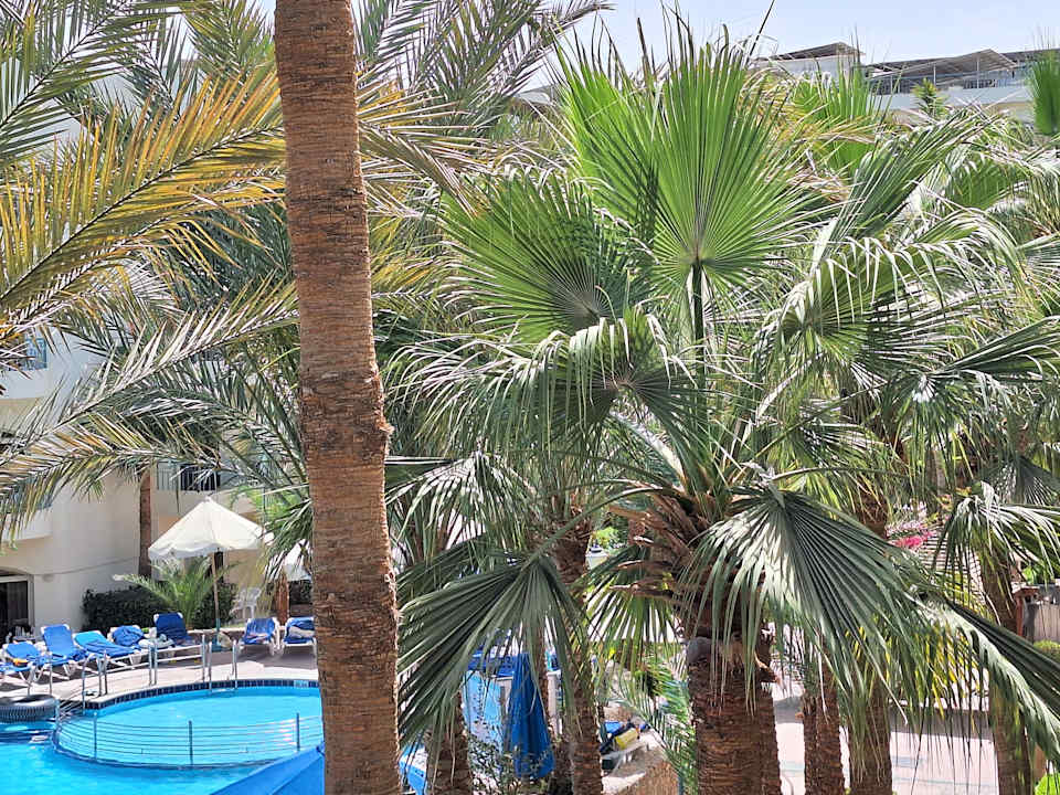 Sonstiges Bella Vista Resort Hurghada