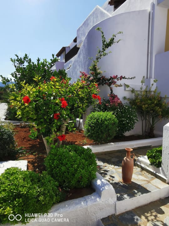 Gartenanlage Alexander Beach Hotel & Village Resort