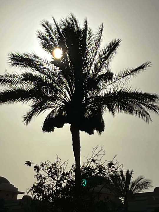 Gartenanlage Serenity Alpha Beach