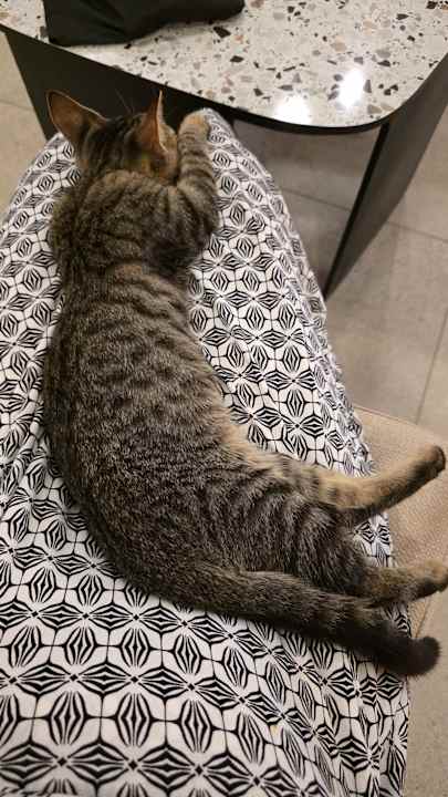 Sonstiges VOX MARIS RESORT