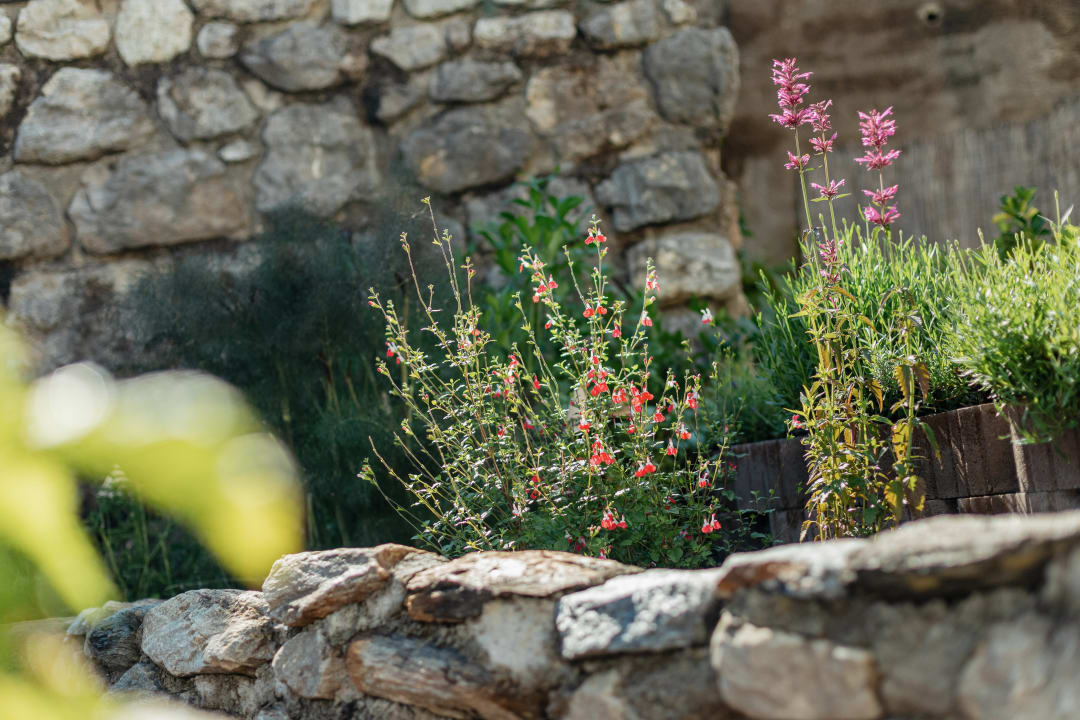 Gartenanlage Kräuterhotel Hochzillertal