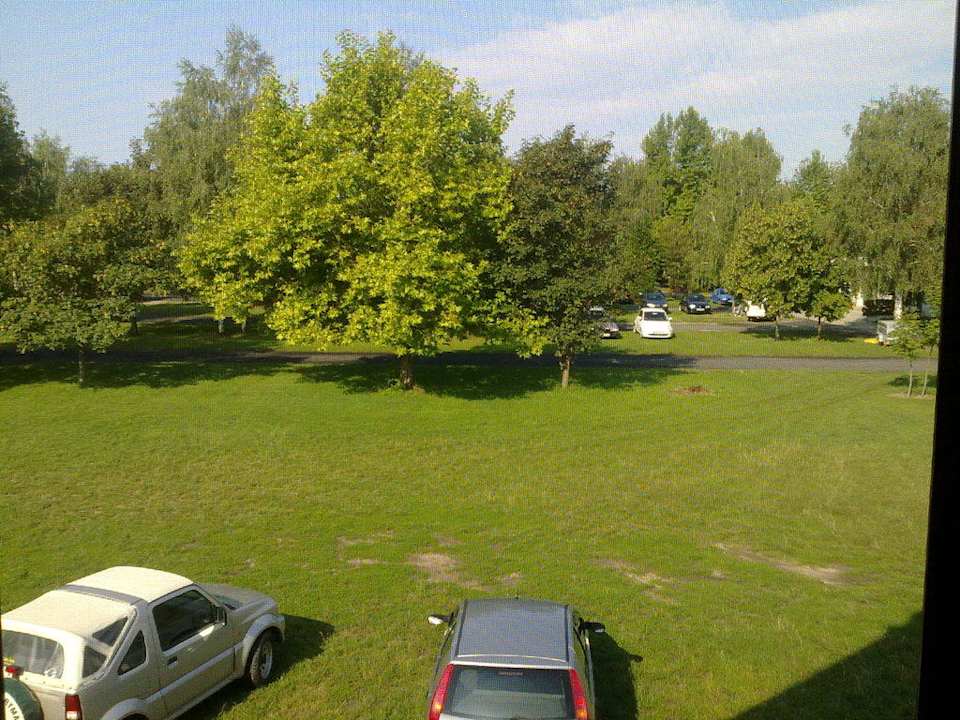 Aussicht vom Zimmer zum Garten! Nyerges Gasthof