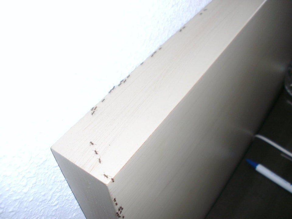 So war bei uns - SBH Hotel Taro Beach