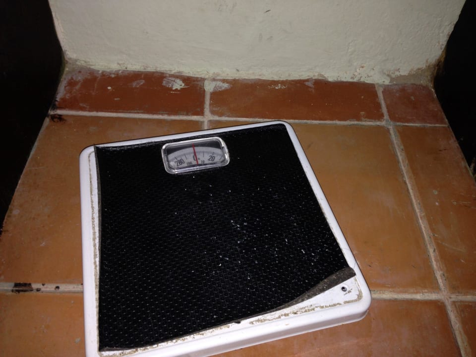 Wage kaputt Catalonia Punta Cana - All Inclusive