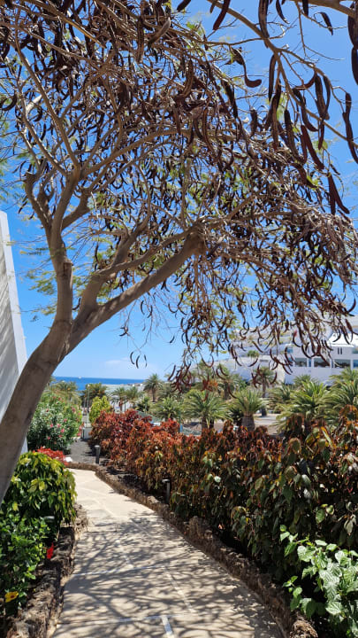 Gartenanlage Sol Fuerteventura Jandia - All Suites