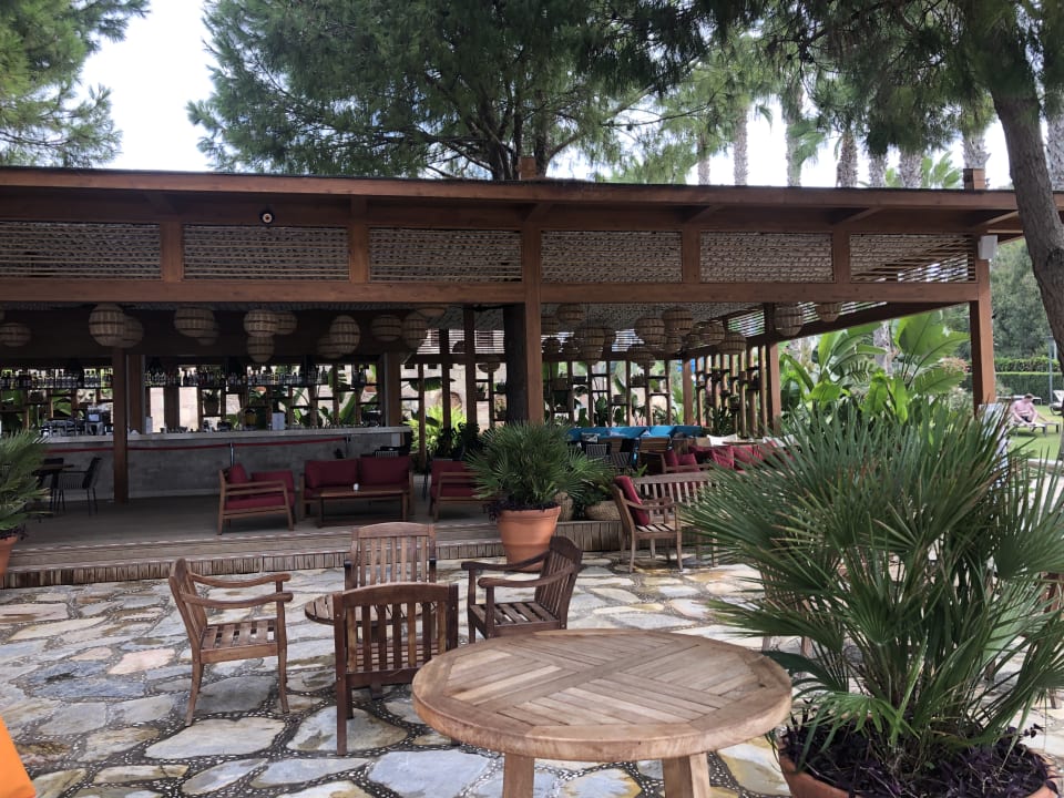 Gastro Arum Barut Collection