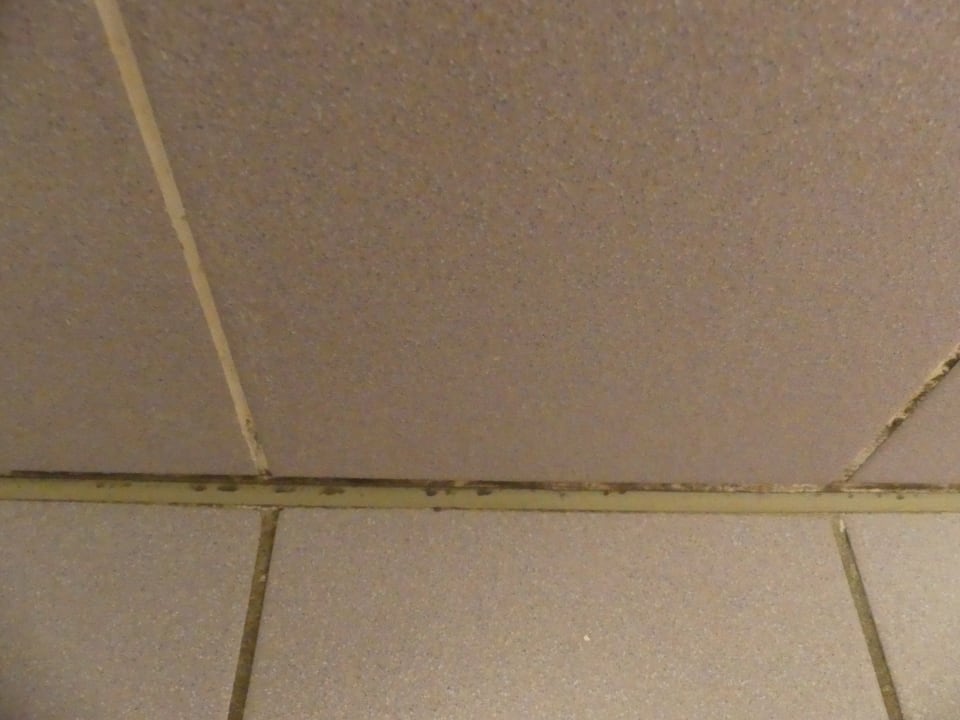 Zimmer Tagungs- und Gästehaus TaT