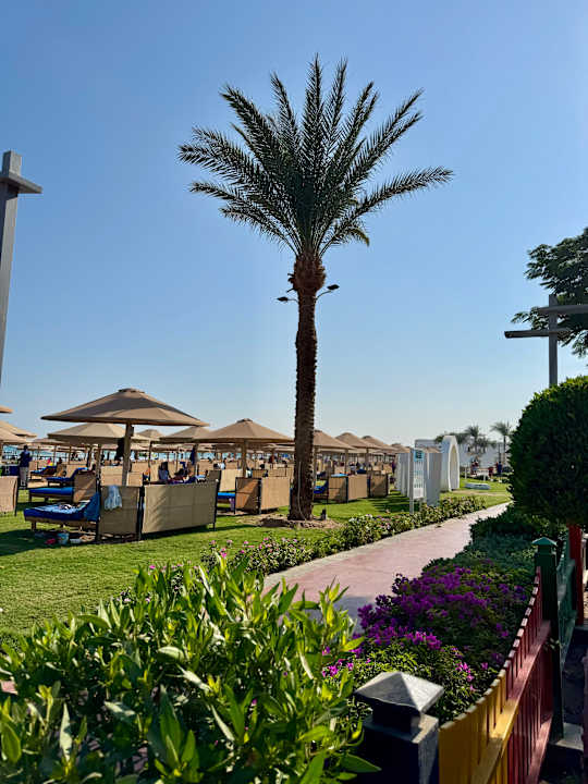 Außenansicht Pickalbatros White Beach Resort - Hurghada