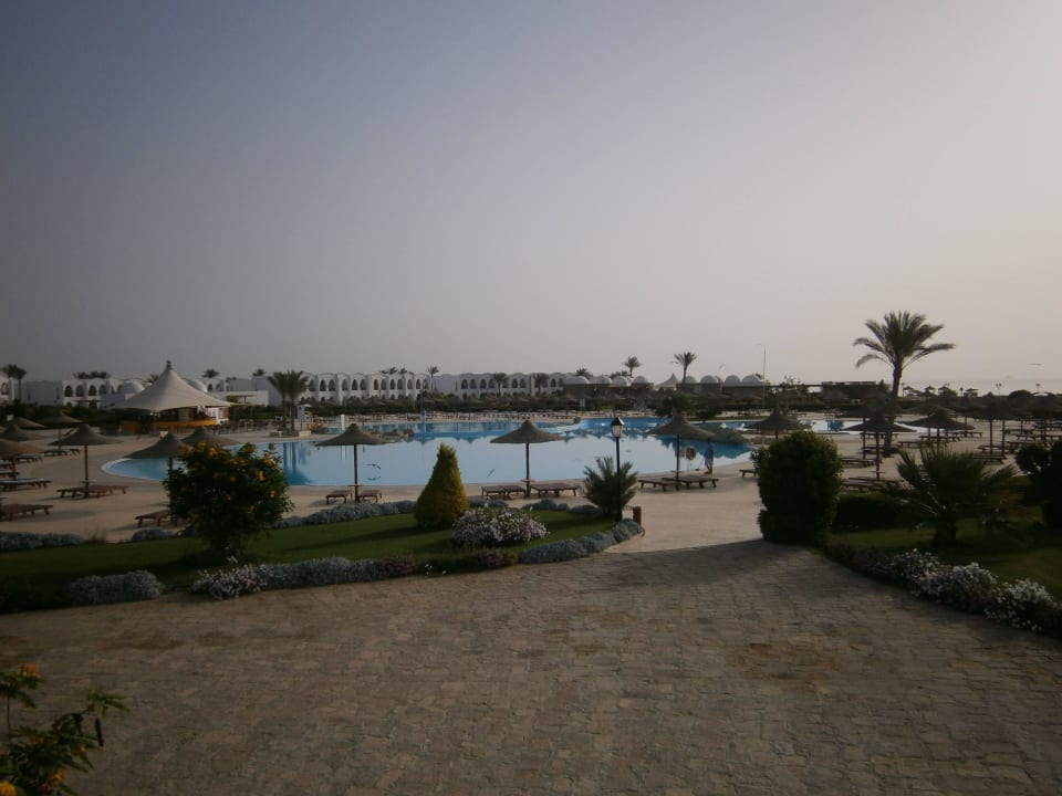 Toller Pool Hotel Gorgonia Beach Resort