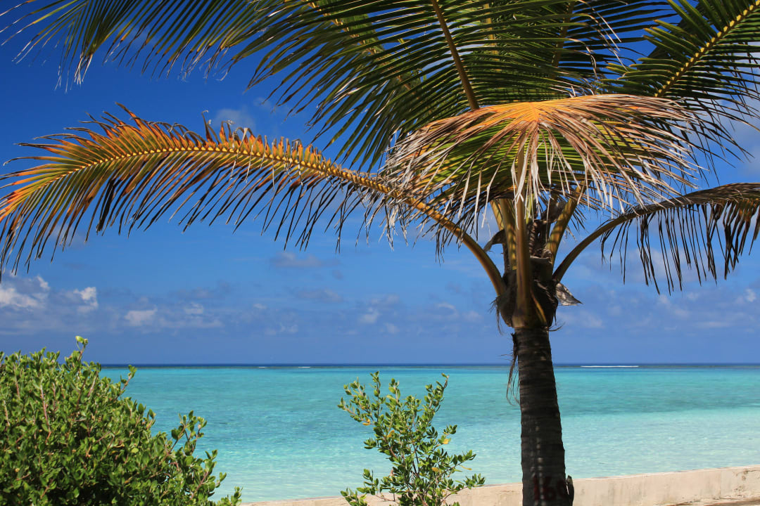 Paradies.......Farben wie im Bilderbuch Summer Island Maldives