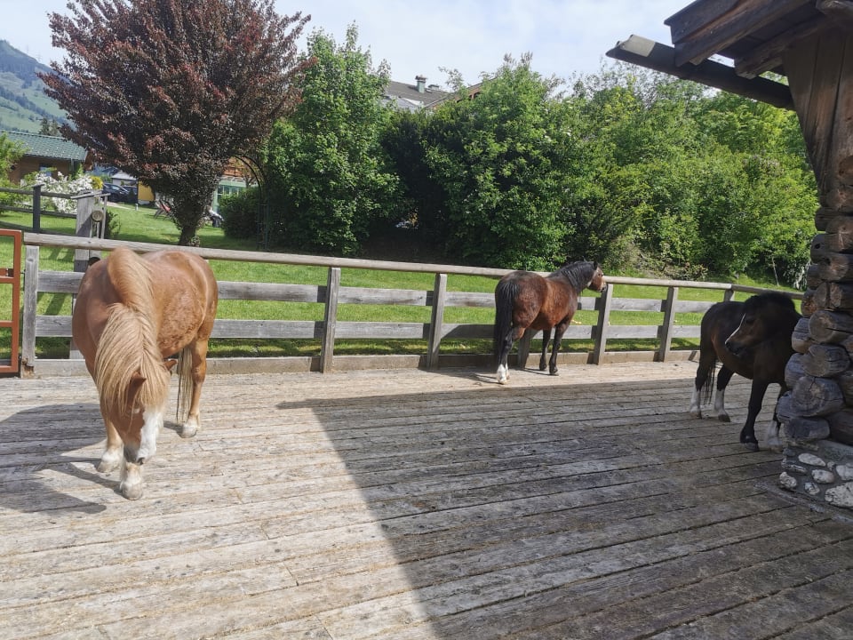 Sport & Freizeit Lerchs Landhotel