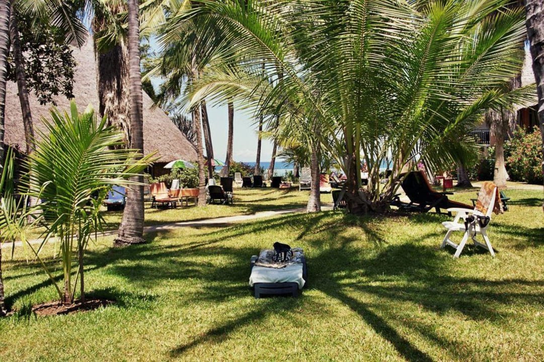 Gartenanlage - Bahari Beach Hotel Bahari Beach Hotel