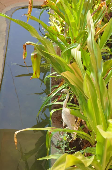 Po lewej od wejścia Hotel Kampong Thom Village