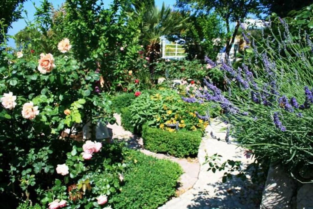 Garten Villa Margitta