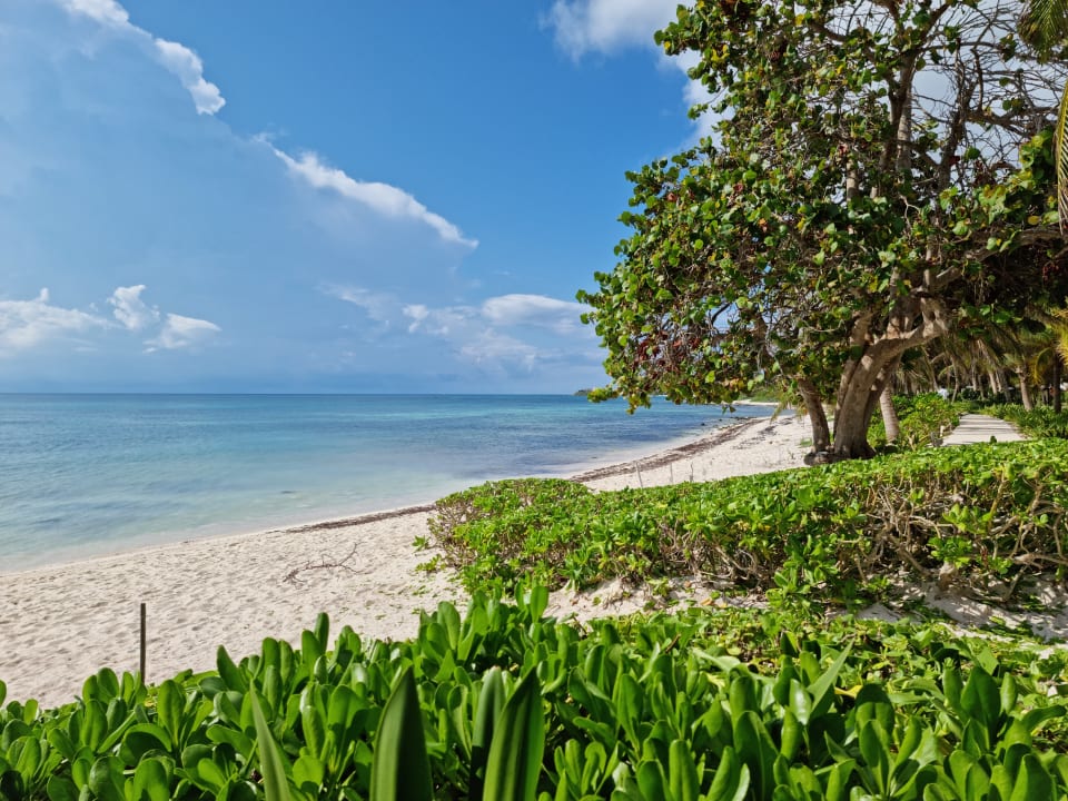 Strand Akumal Bay Beach & Wellness Resort