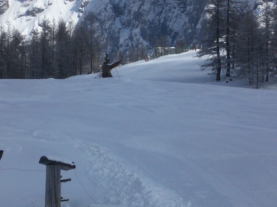 Skipiste am Hotel Berghotel Dachstein
