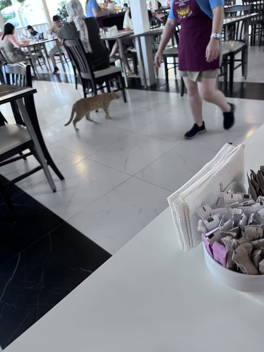 Gastro Crystal Flora Pearl Collection