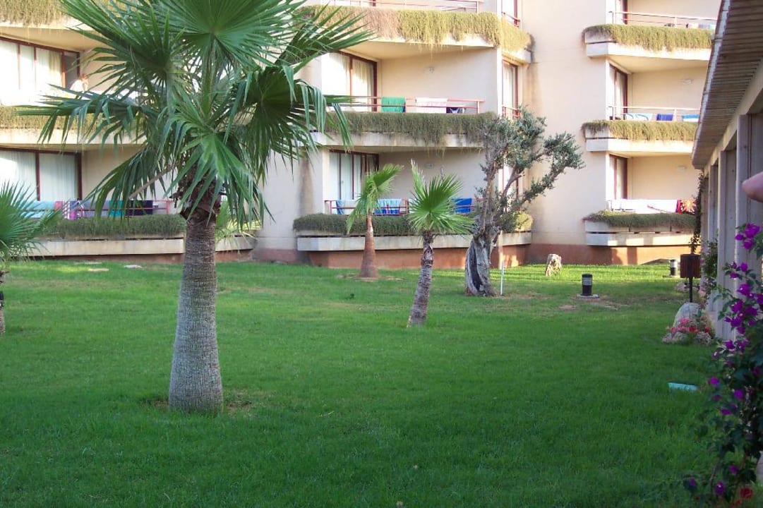 Grünanlage im Turo Pins Protur Turo Pins Hotel